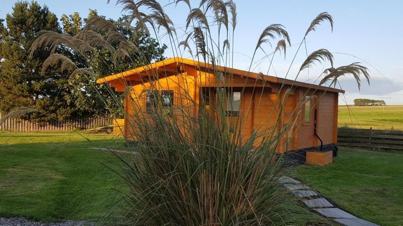 Canterra Cottage Tain Dış mekan fotoğraf