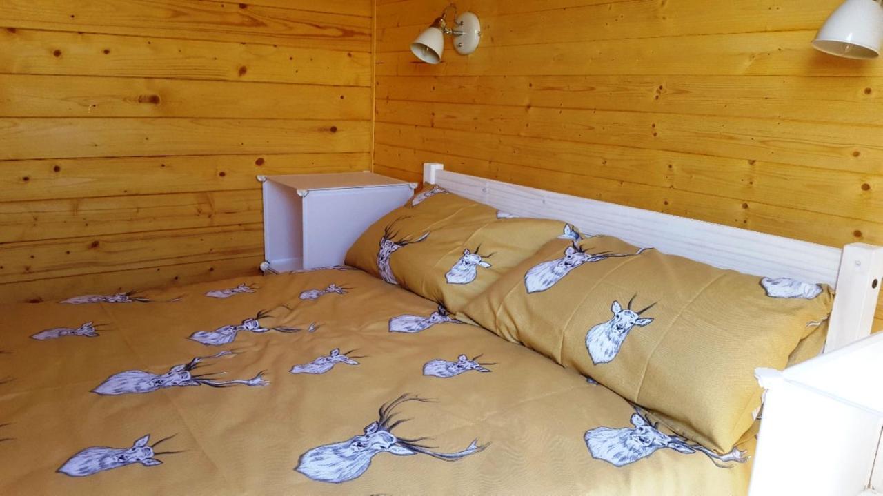 Canterra Cottage Tain Dış mekan fotoğraf